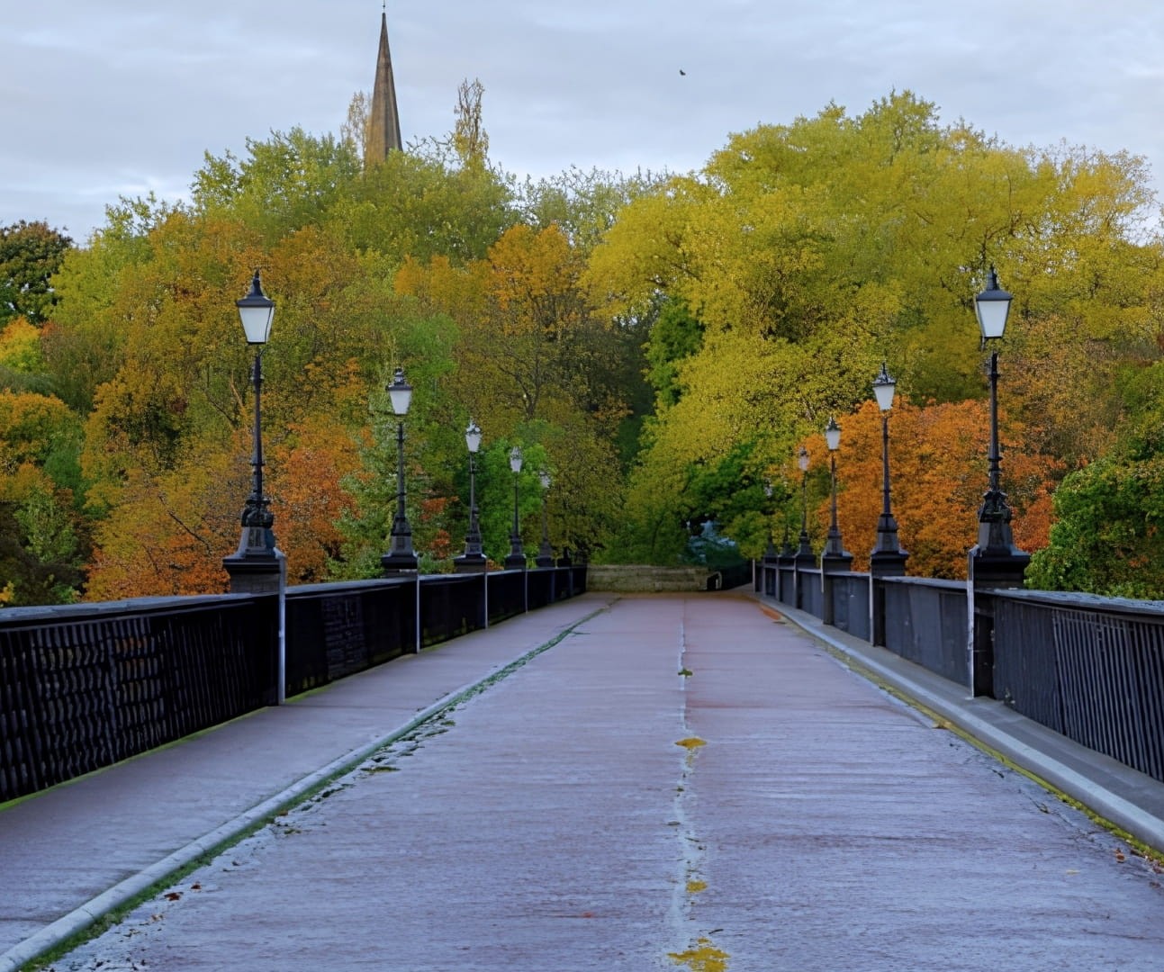 A view of Armstrong Bridge